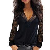 Pullover V Neck Lace See Through Long Sleeve